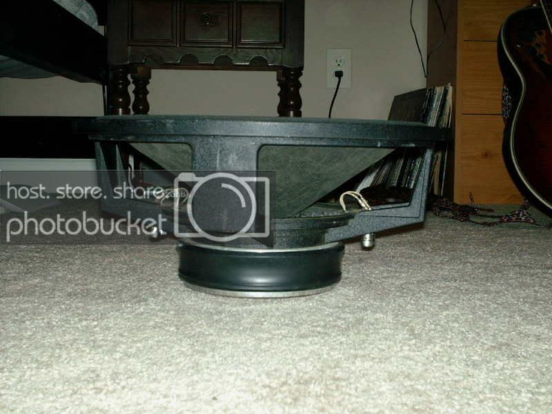 mypics165.jpg
