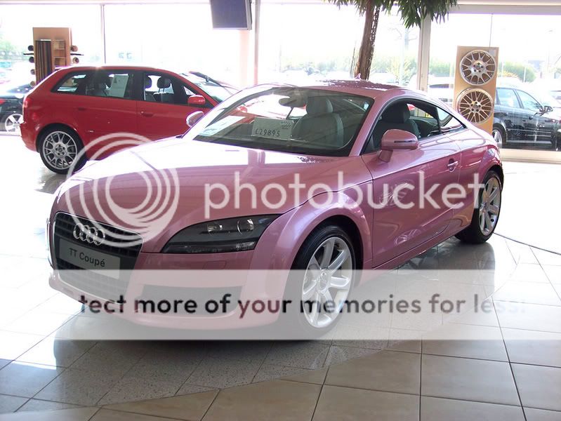Pink01.jpg