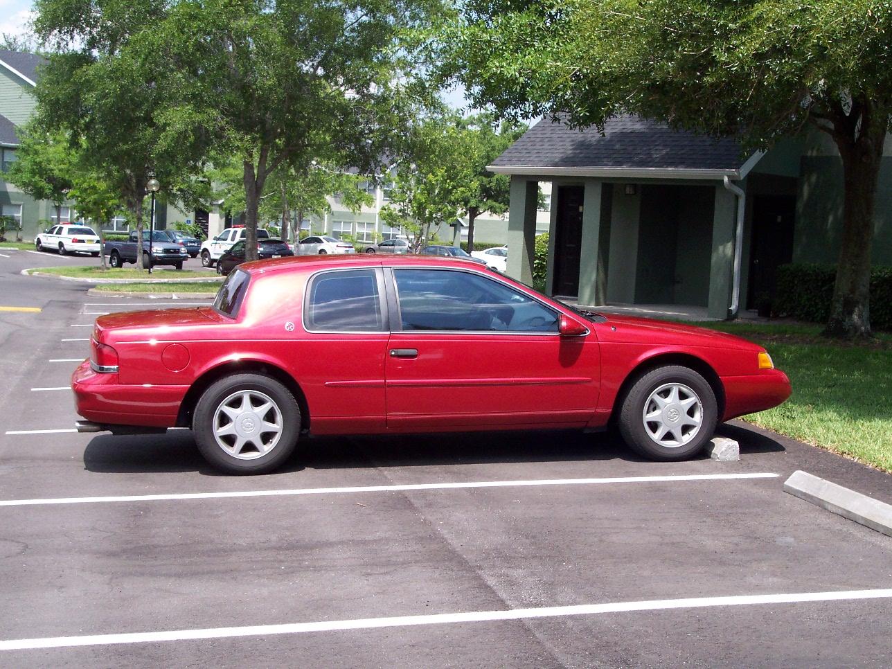 cougar1.jpg