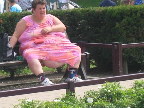codepink_fat_lady.jpg