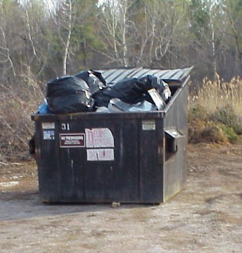 Lot%20H%20Dumpster.jpg