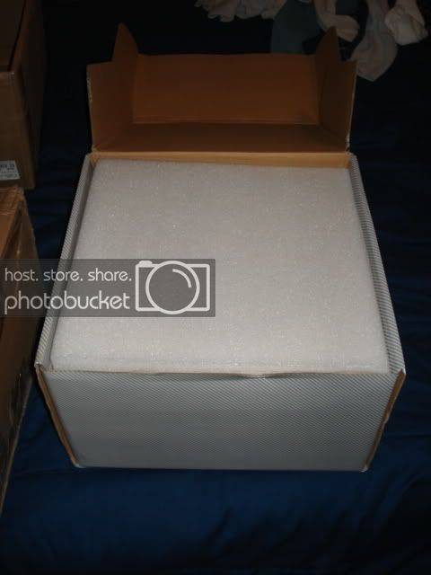 DSC01955.jpg