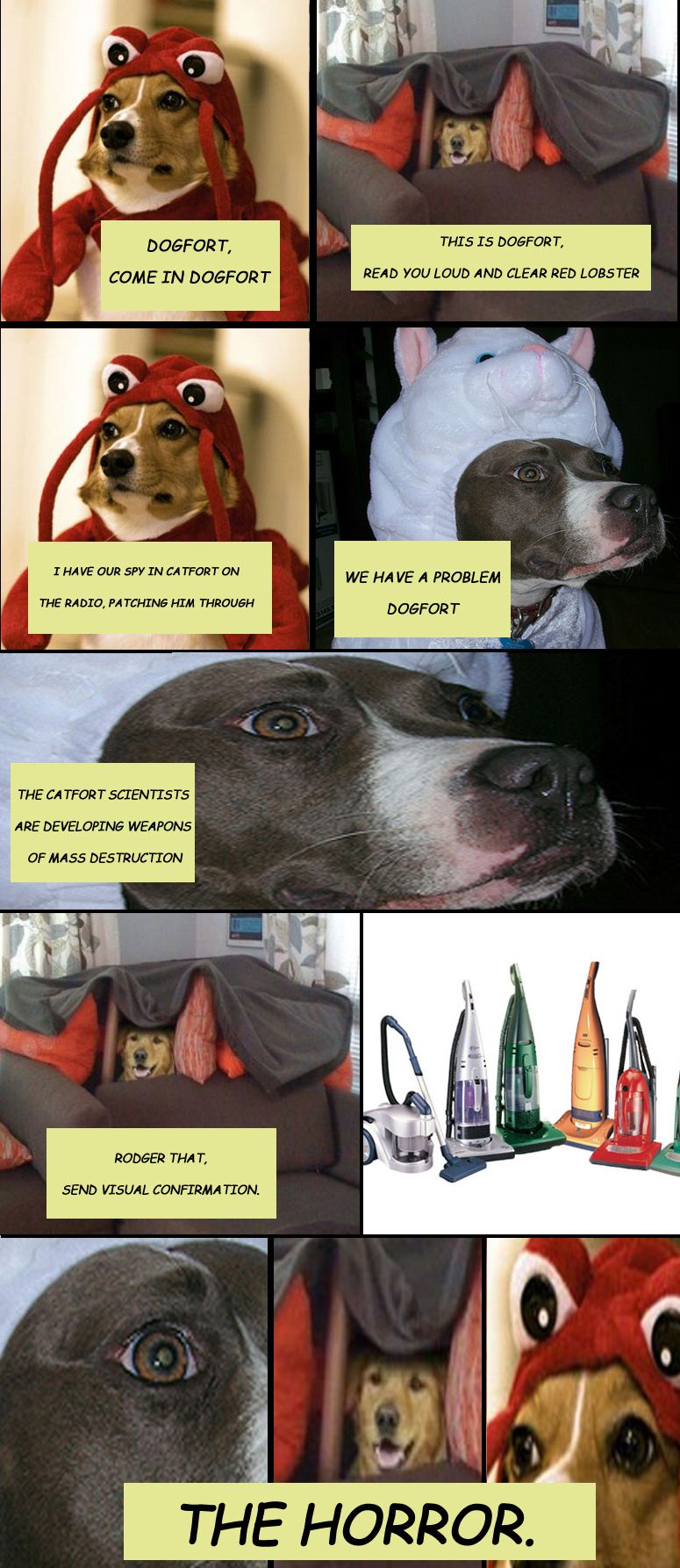 jd1l9.jpg