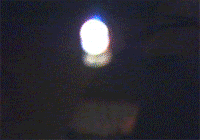 multicolor_sideview.gif