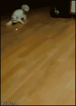 QGlIK.gif
