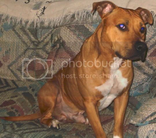 Rocky015.jpg
