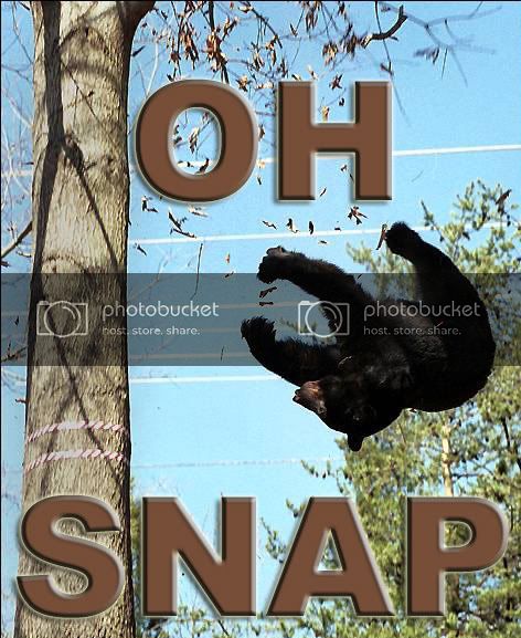 oh20snap.jpg