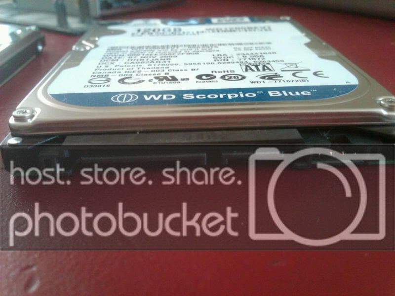 IMG00117-20100219-1100.jpg