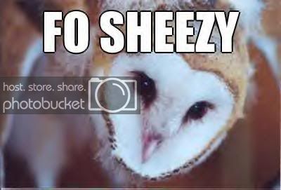 fosheezy.jpg