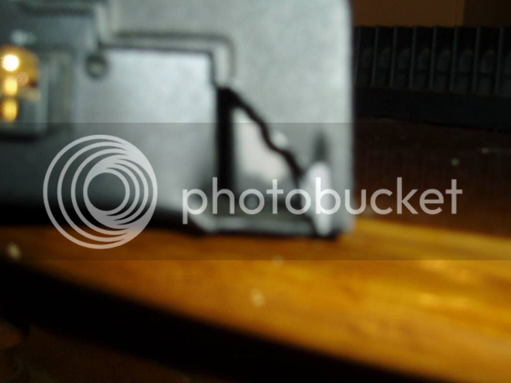 P1010013-1.jpg
