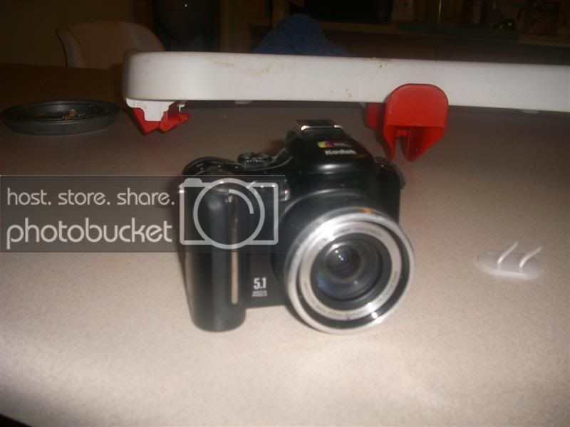 DSCI0224Medium.jpg