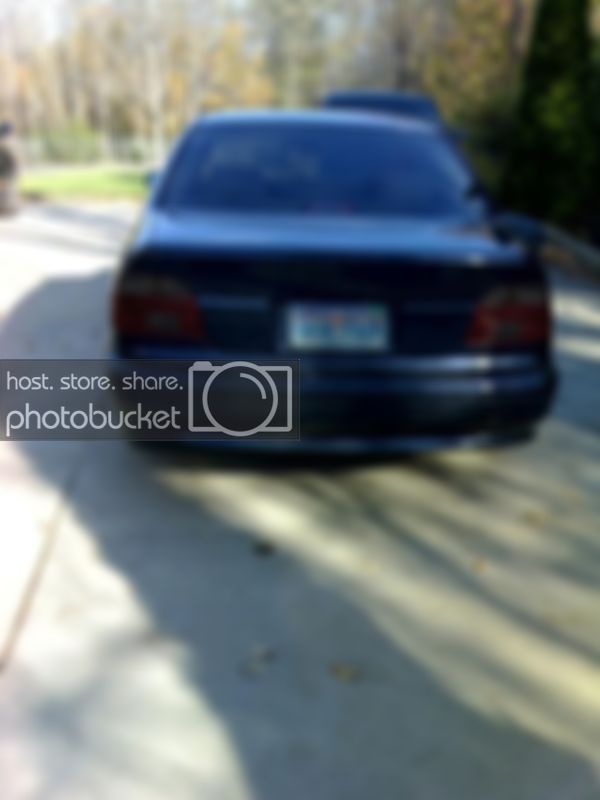 11-03-07_1524tint3.jpg
