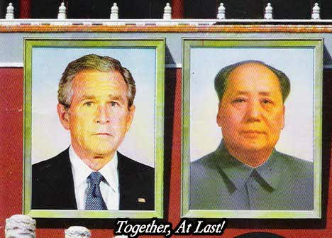 bushmao.jpg