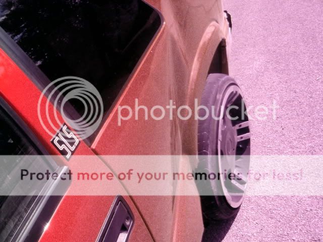 DSC00780.jpg