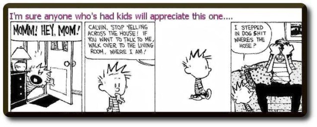 calvin1.jpg