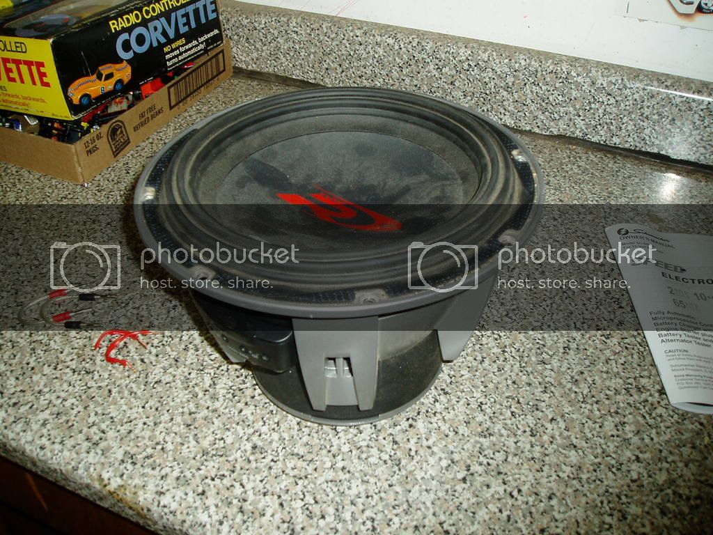 type-rtoasted.jpg