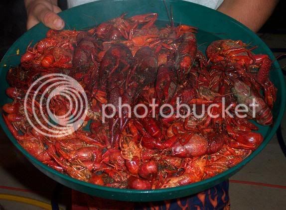 crawfish.jpg