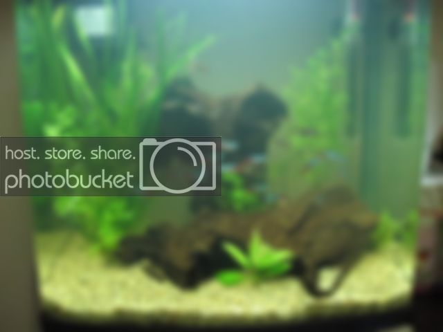 tank010.jpg