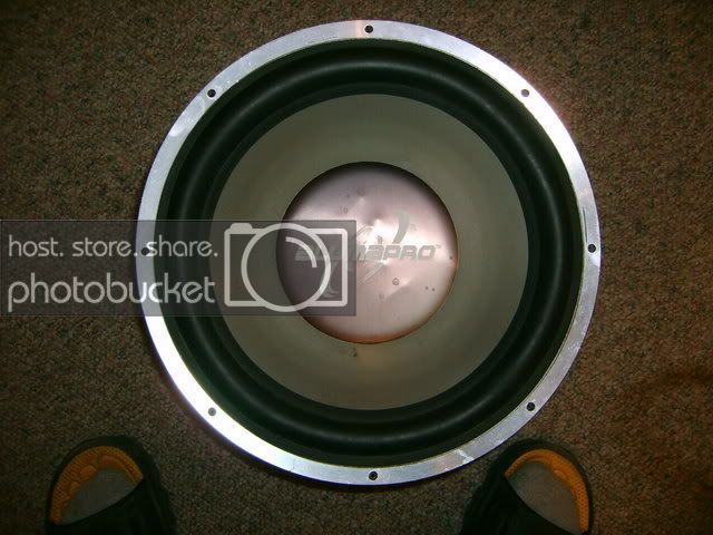 S5000574.jpg