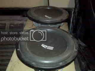 IMG00197.jpg