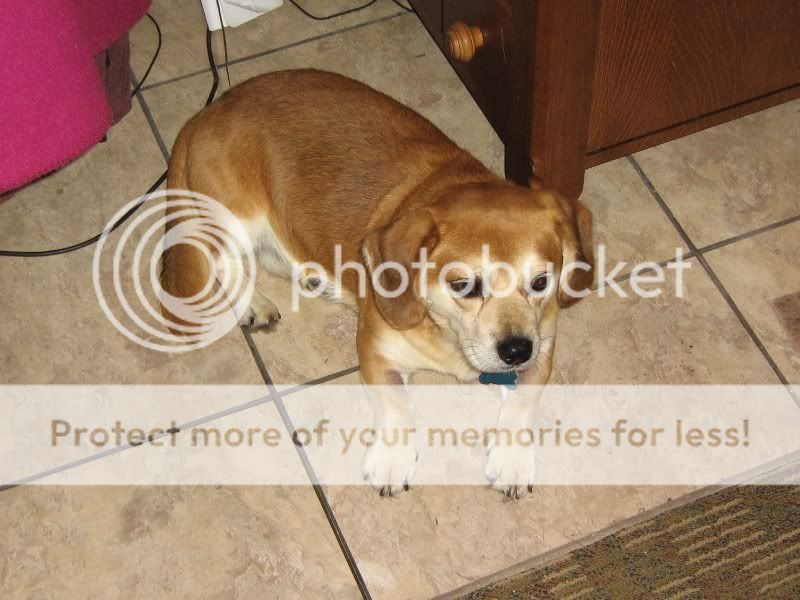 eh002.jpg
