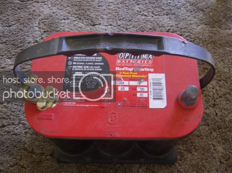 redtopfs006.jpg