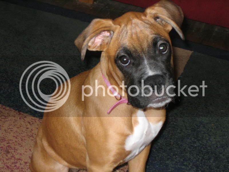 BELLA011.jpg