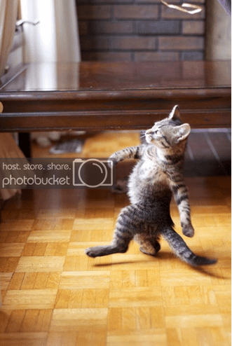 struttin.png