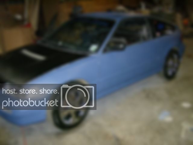 showrex017.jpg