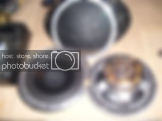 SL730692.jpg