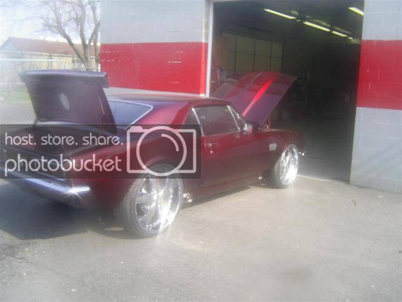 S4020116Large.jpg