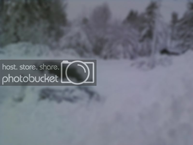 SnowForTheFunOfIt.jpg