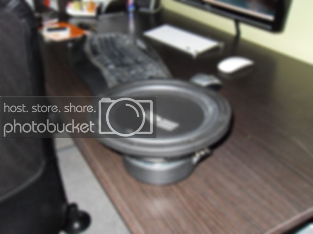 SDC10684.jpg