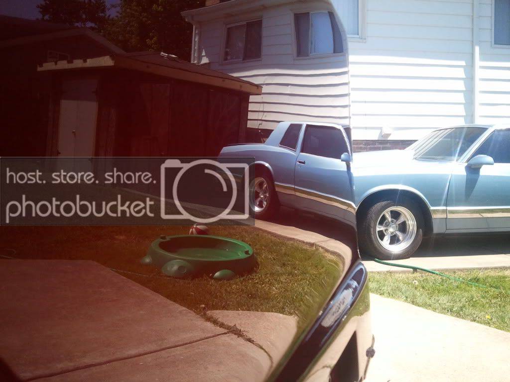 2011-07-05103925.jpg