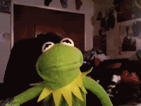 kermit-1.gif