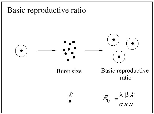 Simple-Ratio.jpg