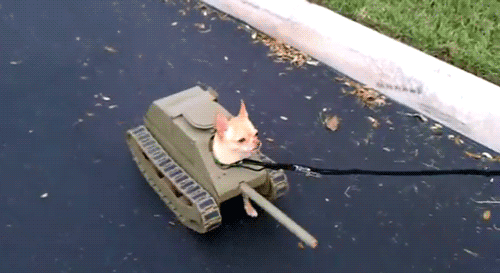 1iK5a.gif