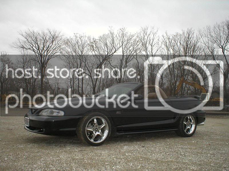 stang4.jpg
