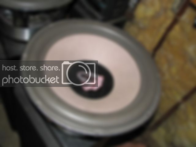 jenspics089.jpg