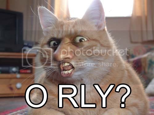 orly3.jpg