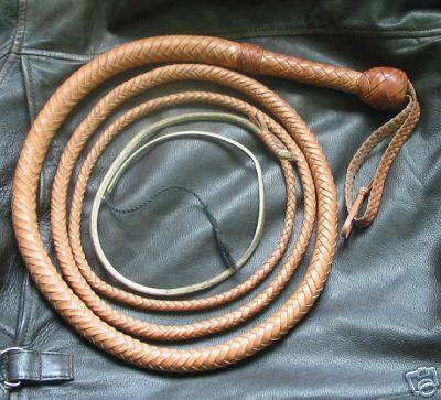 bullwhip.jpg