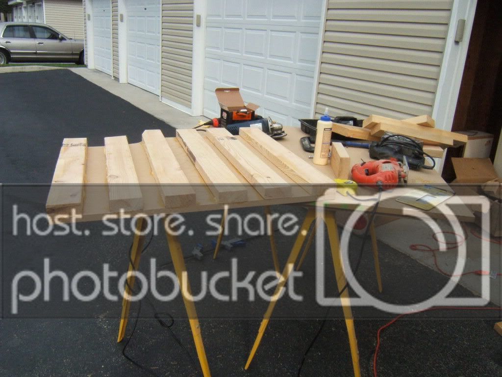 DSCF1229.jpg