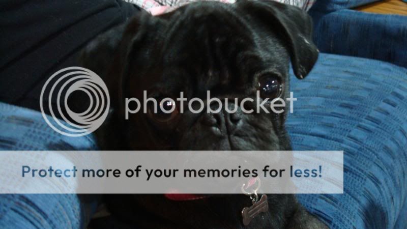 newcamera002.jpg