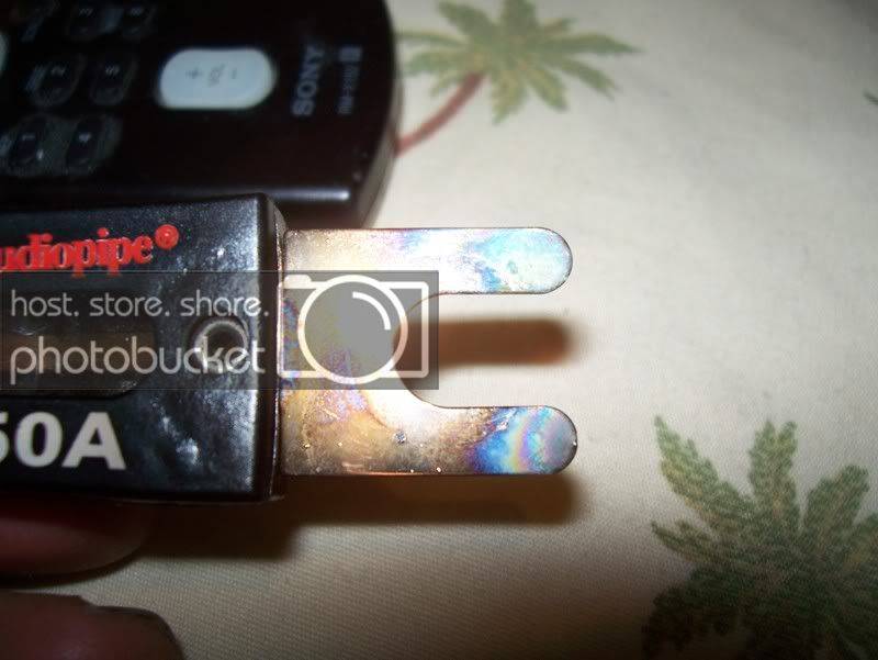100_3264.jpg