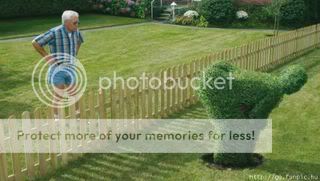 nice-neighbor.jpg