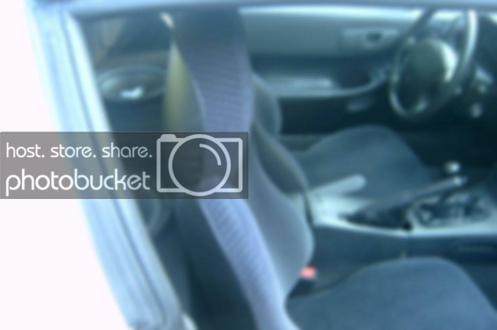 NewPics2008030.jpg