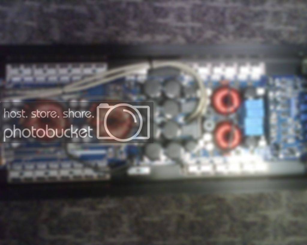 IMG00219.jpg