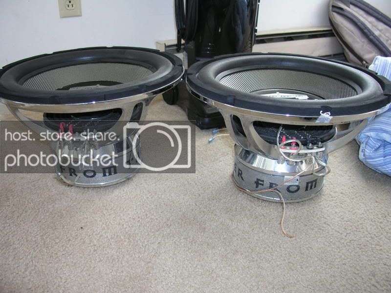 P1010246-1.jpg