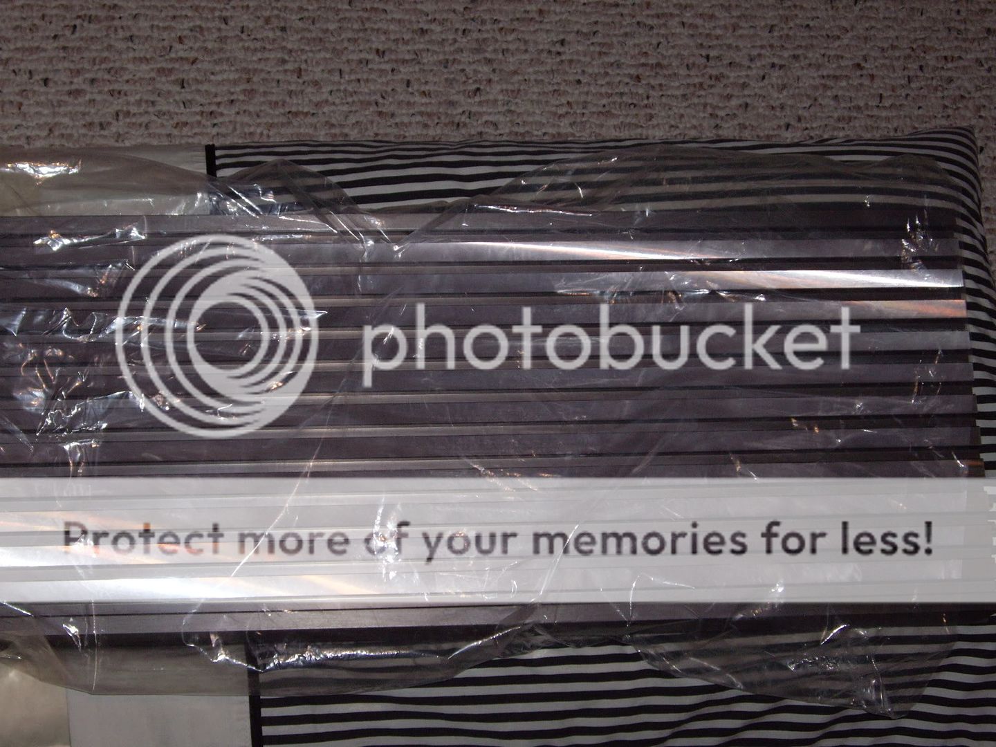 IMGP0455.jpg