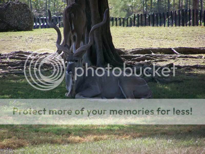 zoo032.jpg